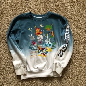 Walt Disney World Youth Pullover sweatshirt xs 4-5? Unisex ombré official